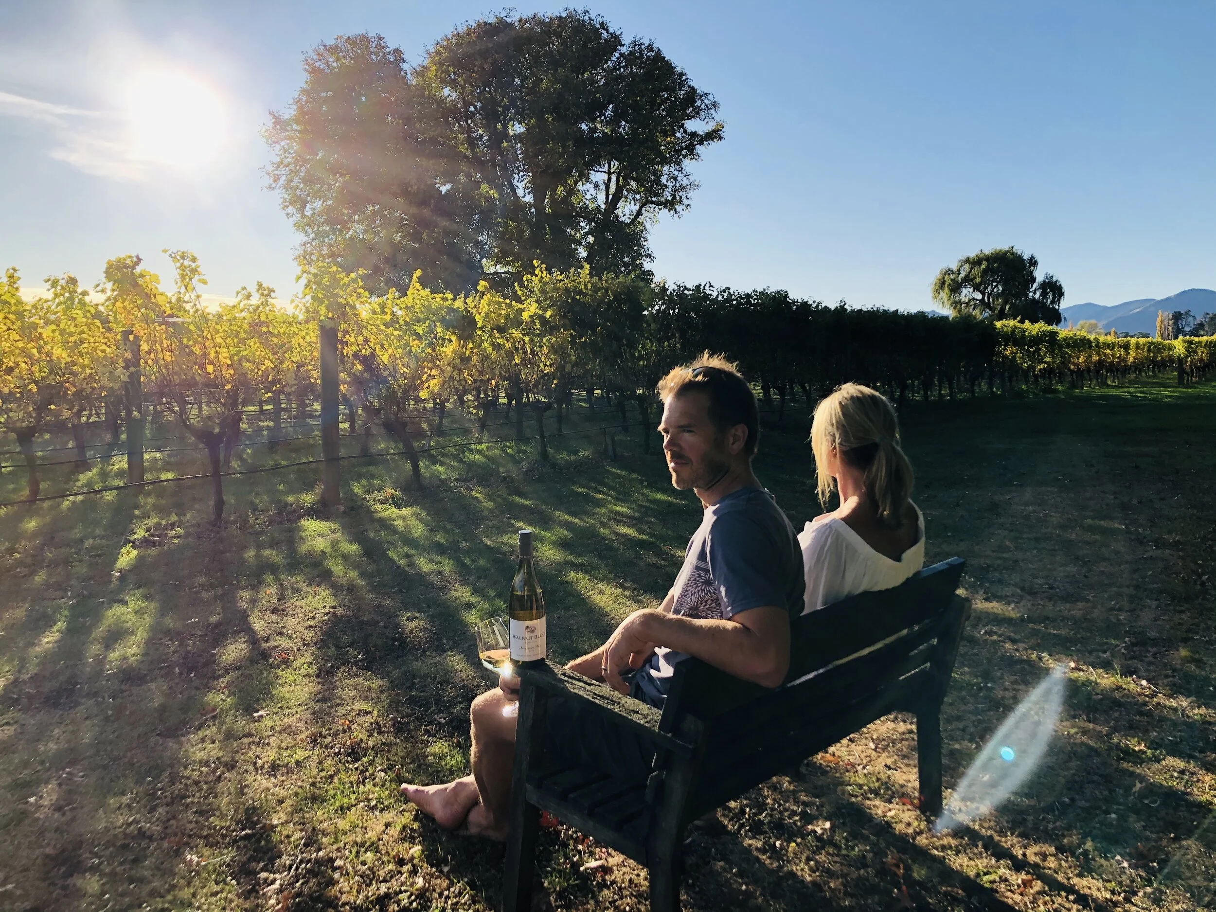 What will our organic winemakers be drinking on #sauvblancday?