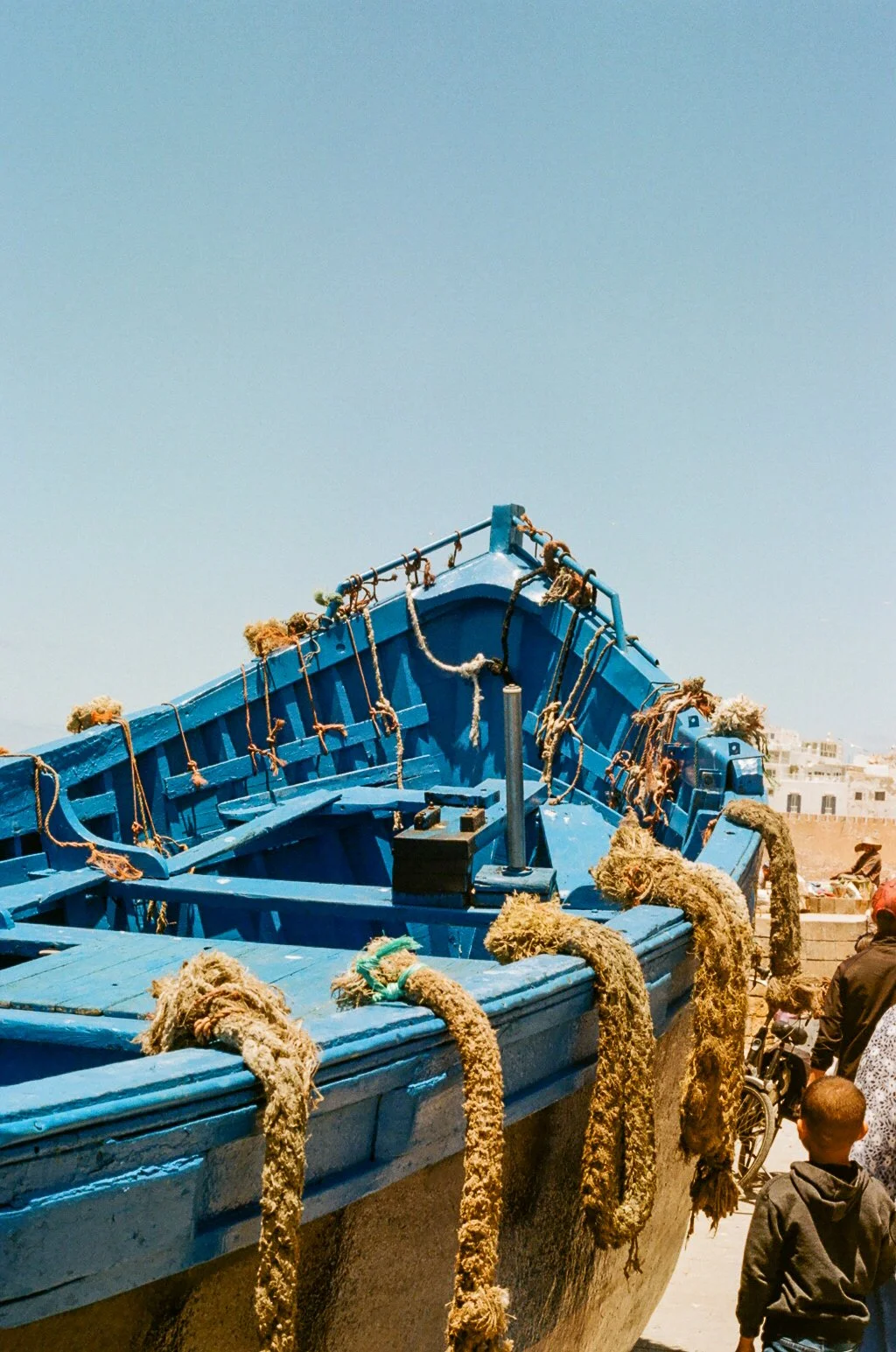 21870033.jpg