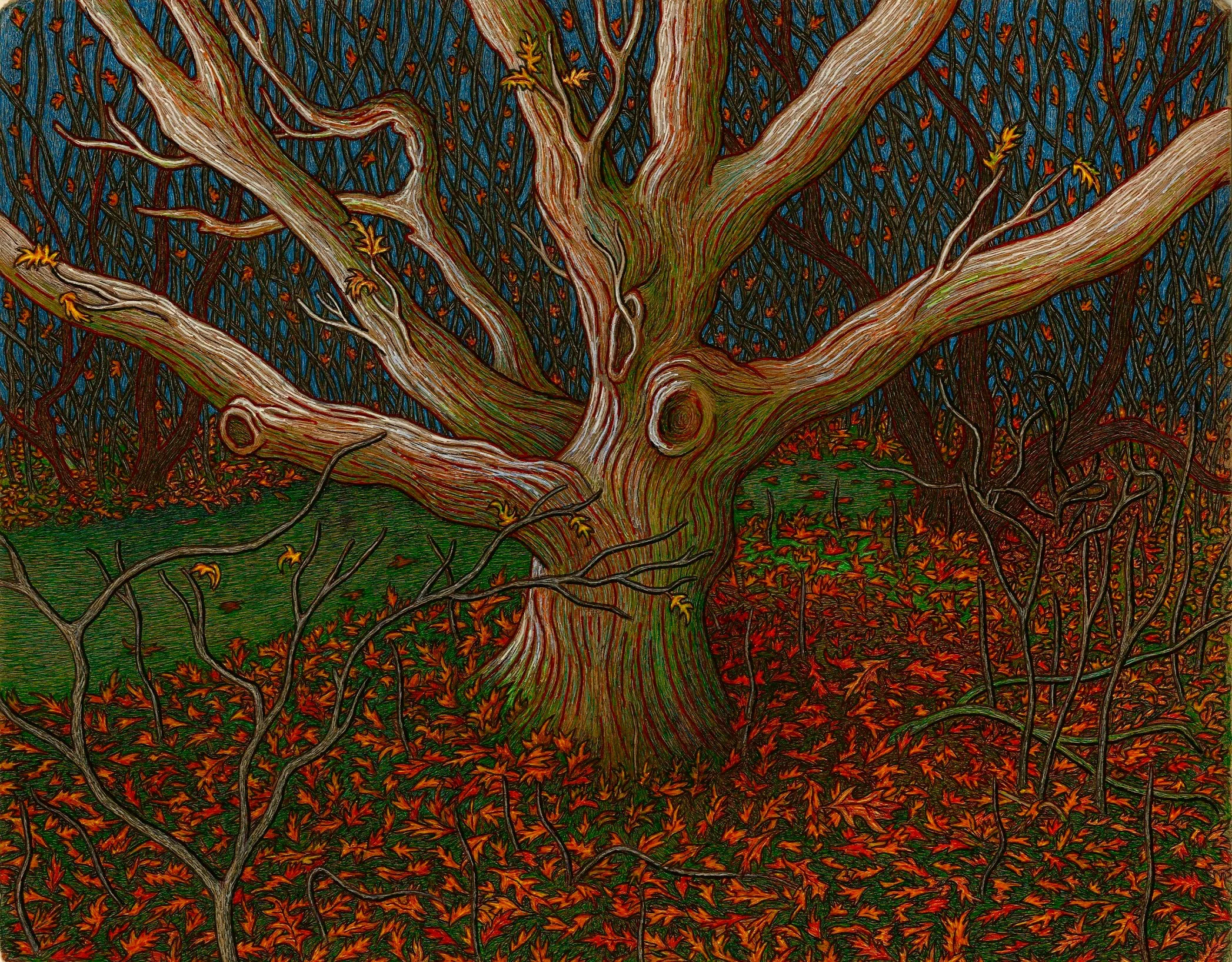 montauk tree 150 2.jpg