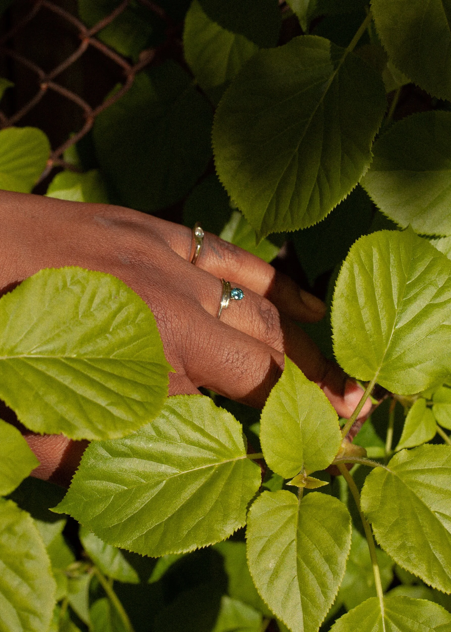 7C5A639A-9818-4550-A88E-3A1C697D14E7