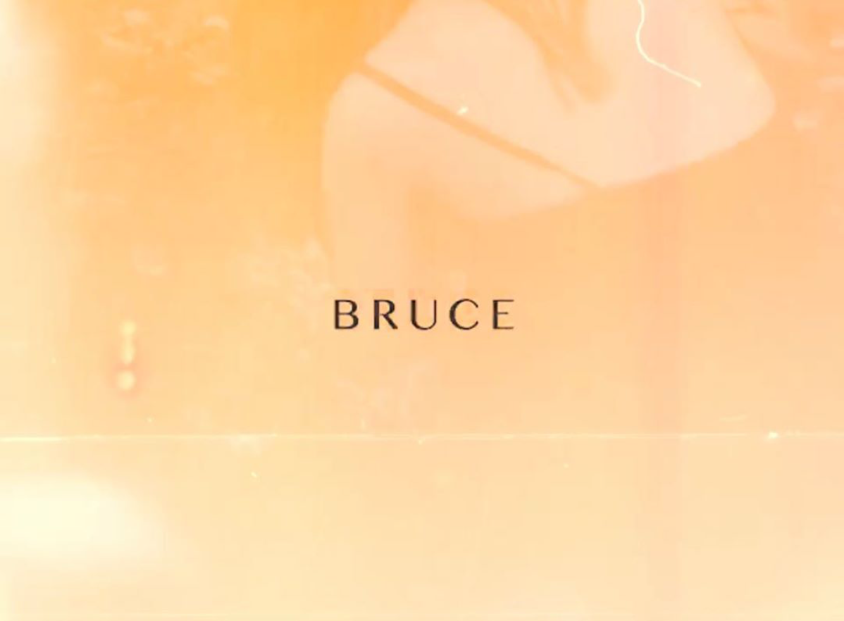 BRUCE on orange.png