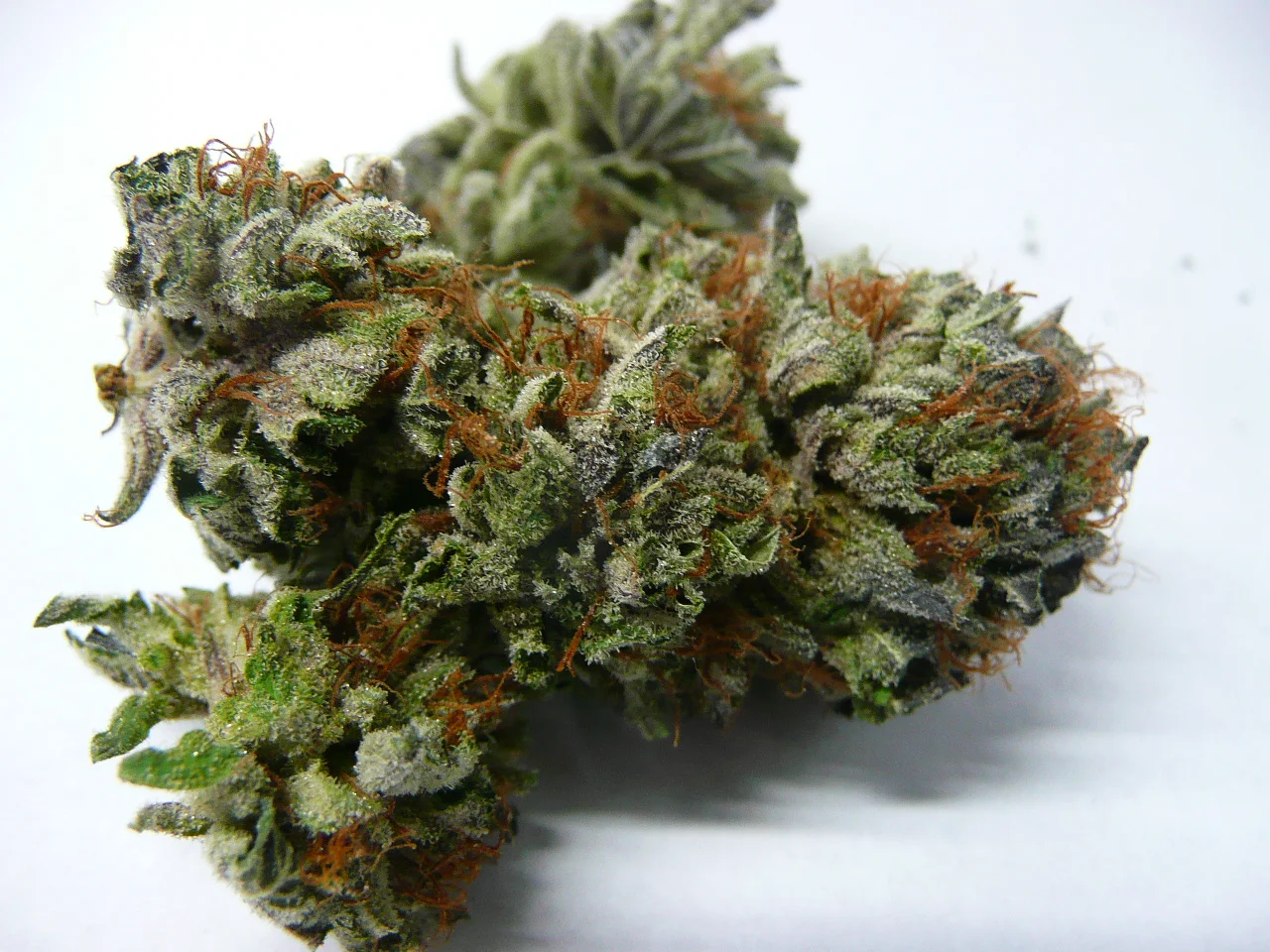  Price: 1/8 - $45.00 1/4 - $90.00 1/2 - $180.00 OZ - $350.00