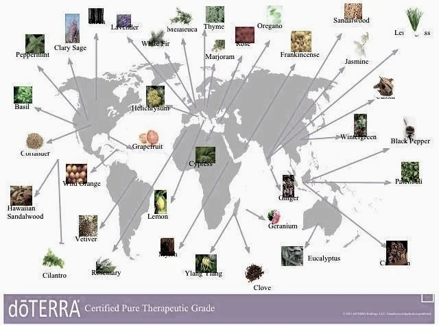 021e0259d8a382d4ad42982b794f469f--doterra-essential-oils-therapeutic-grade-essential-oils.jpg