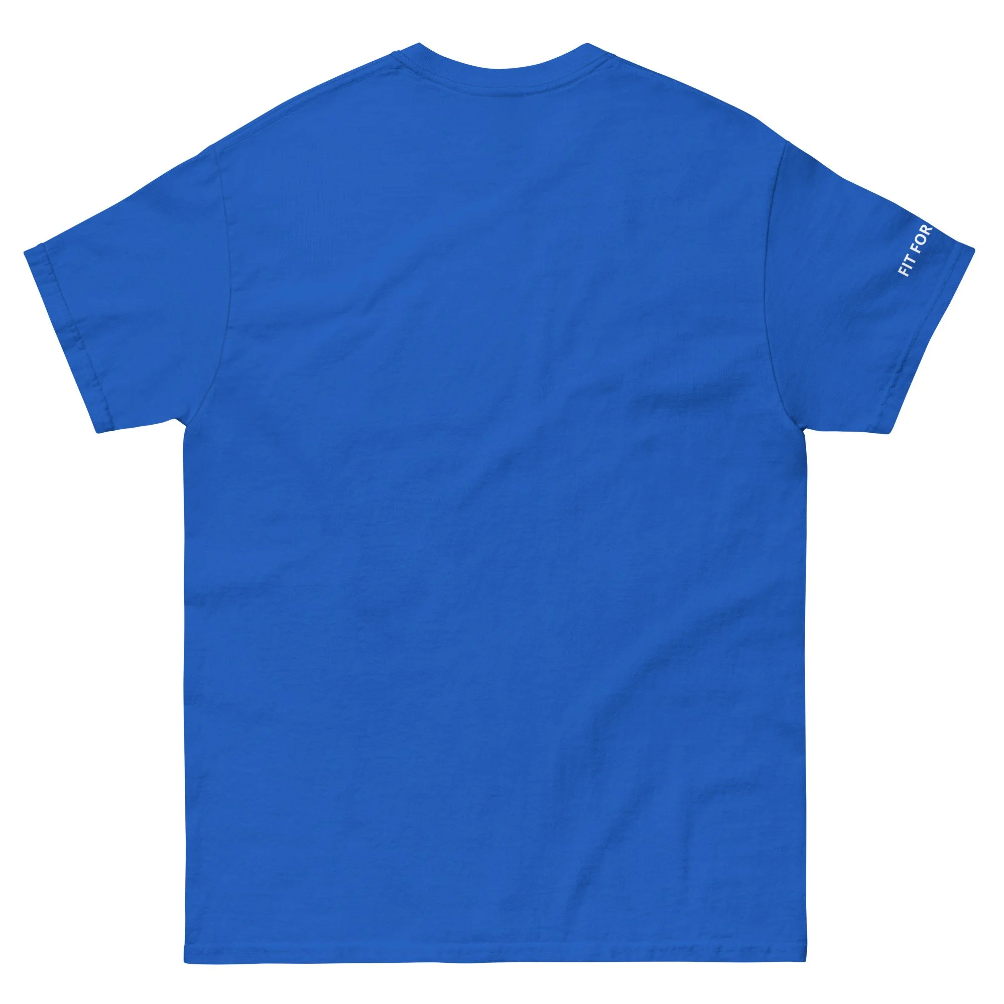 unisex-classic-tee-royal-back-6a3ea01ebdf08.jpg