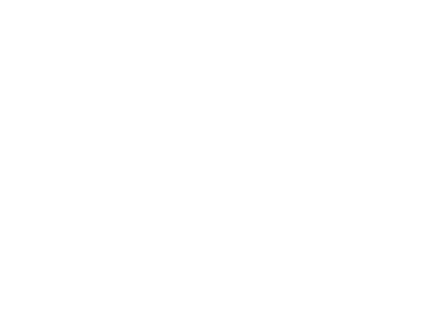 Cnet logo.png