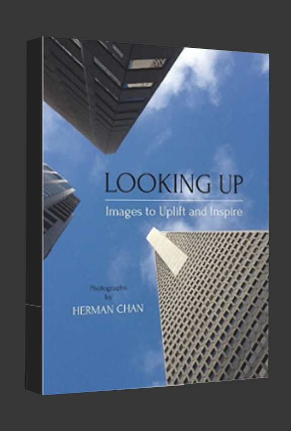 looking up cover.jpg