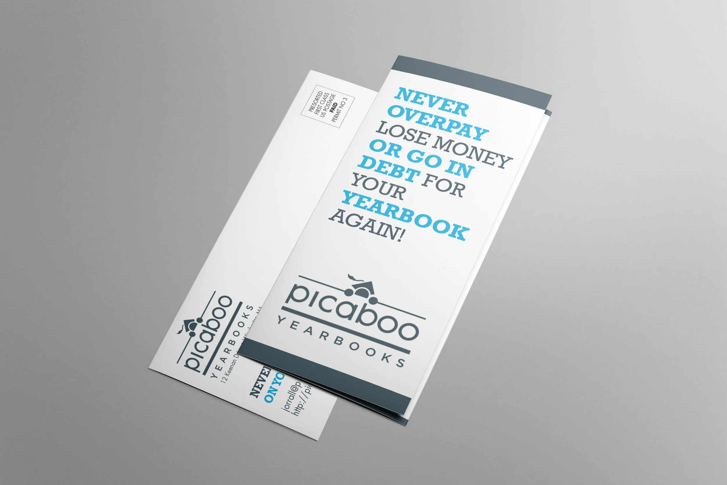 tri-fold-brochure-PICABOO-FOLDED.jpg