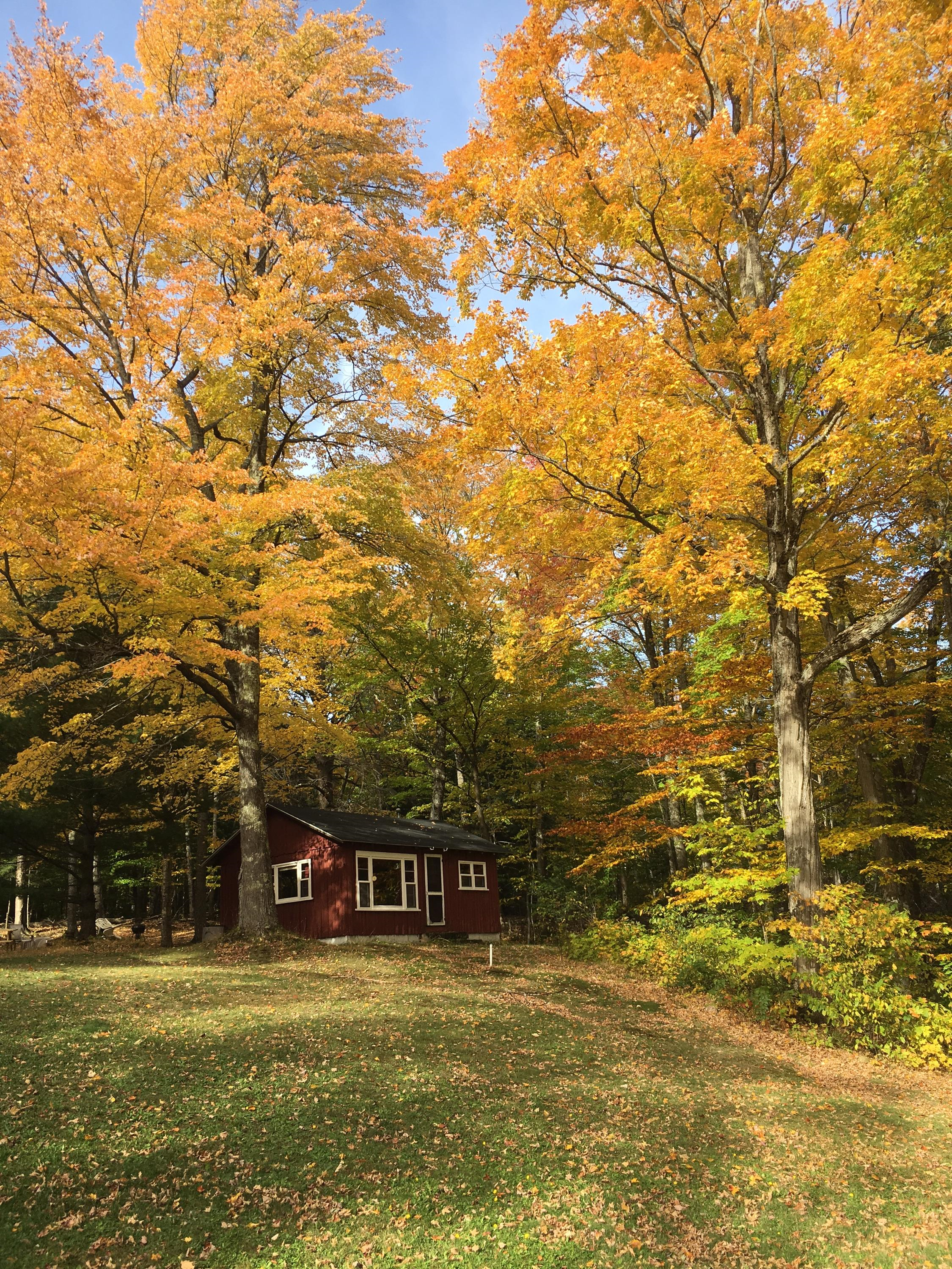 fall mackinac.png