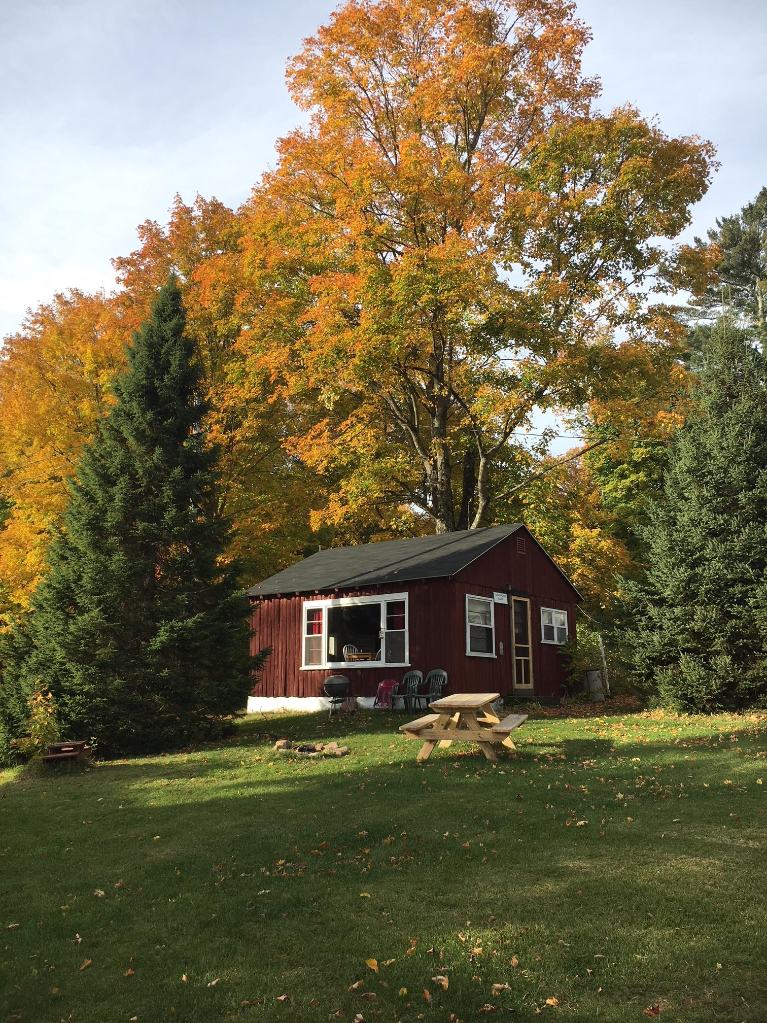 fall tahquemenon.png