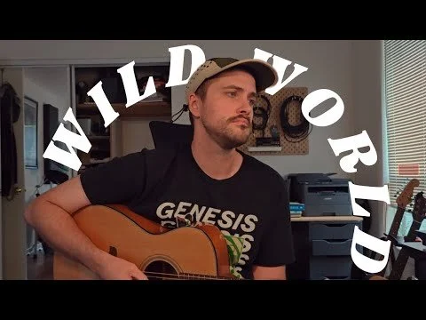 Wild World- Yusuf/Cat Stevens (Cover by Adam Henry)