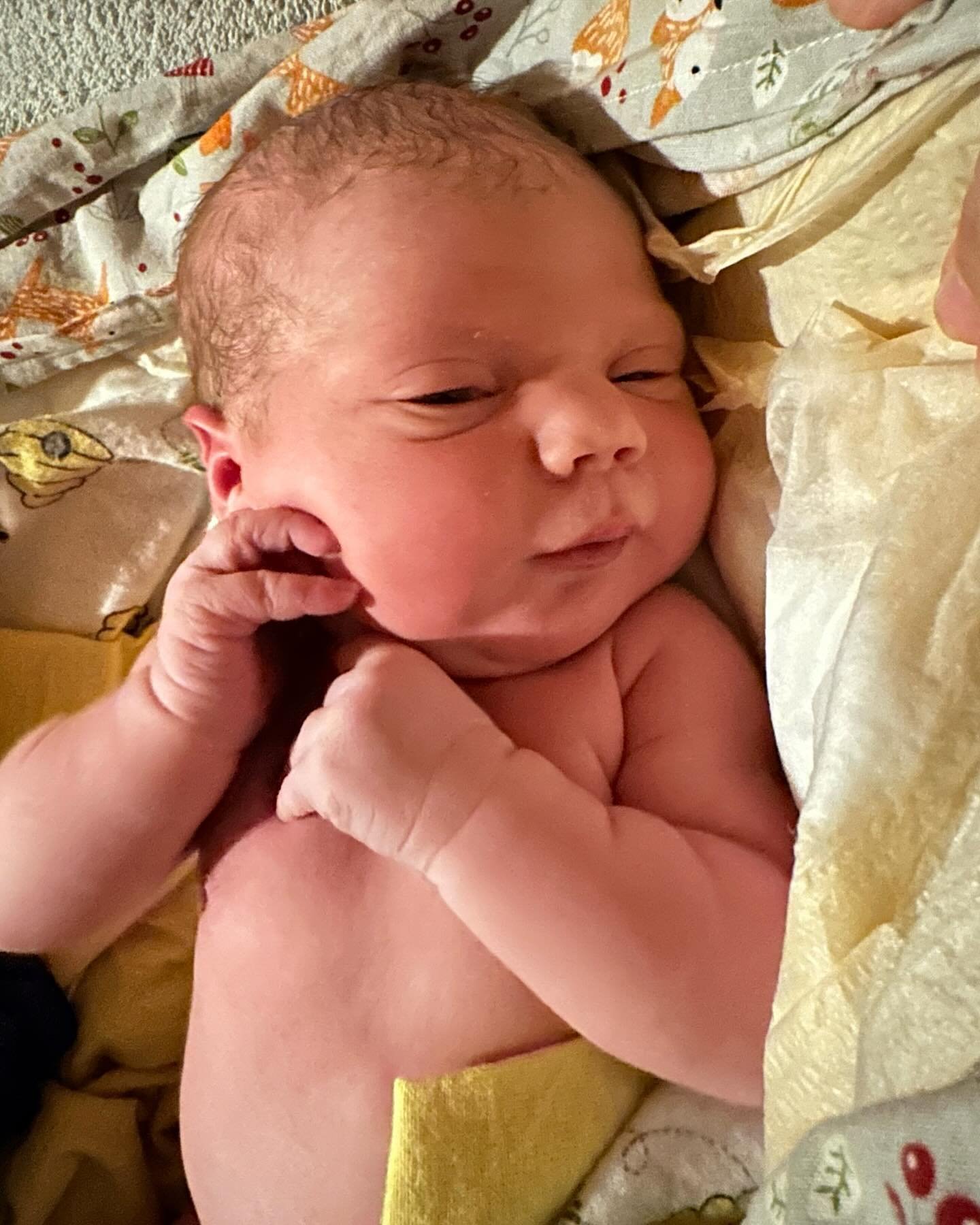 This little sweetie pie is Hearth &amp; Home&rsquo;s newest baby! She was born at home last night in the waterbirth tub after a very swift birth during which her mom had to work hard to stay on top of her ever-increasing contractions. Birth is such i