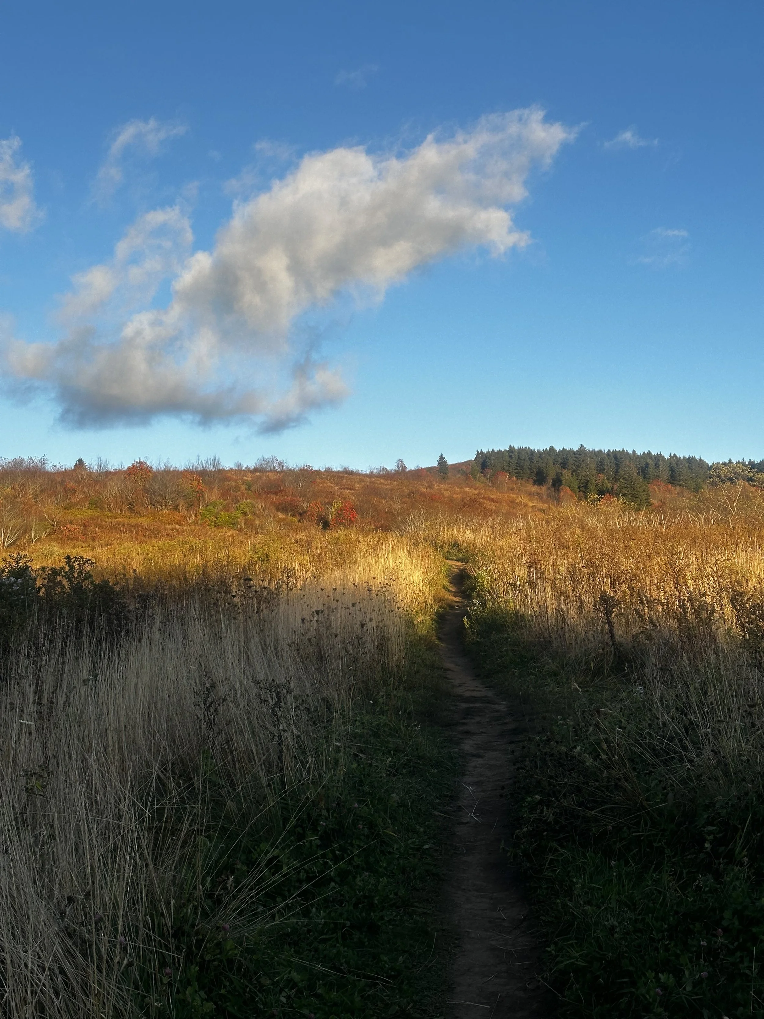High Mountain Foraging Class