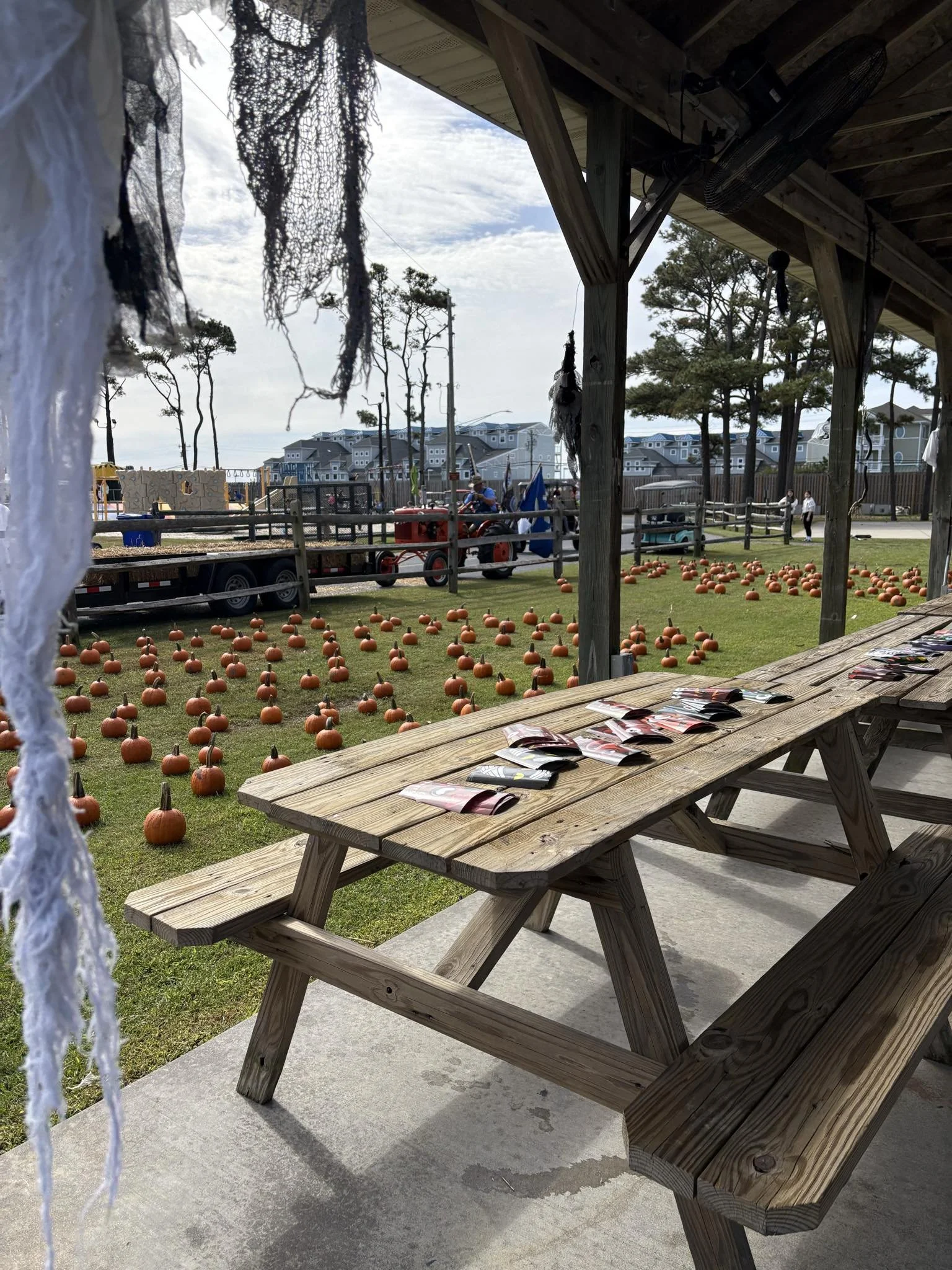 2025 Halloween Gallery — Treasure Beach RV Park & Campground