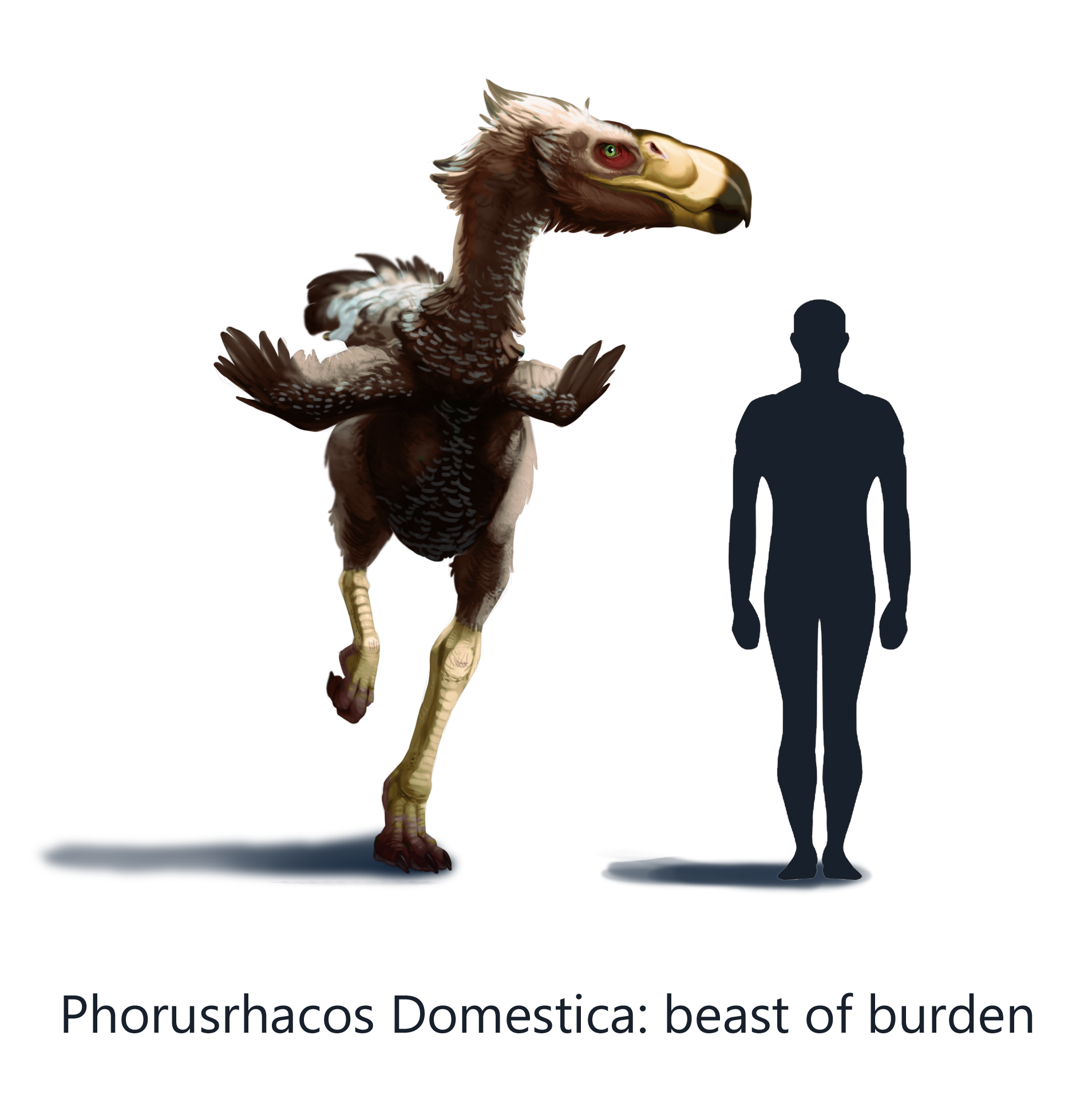 Phorusrhacos Domestica: Domesticated Redesign
