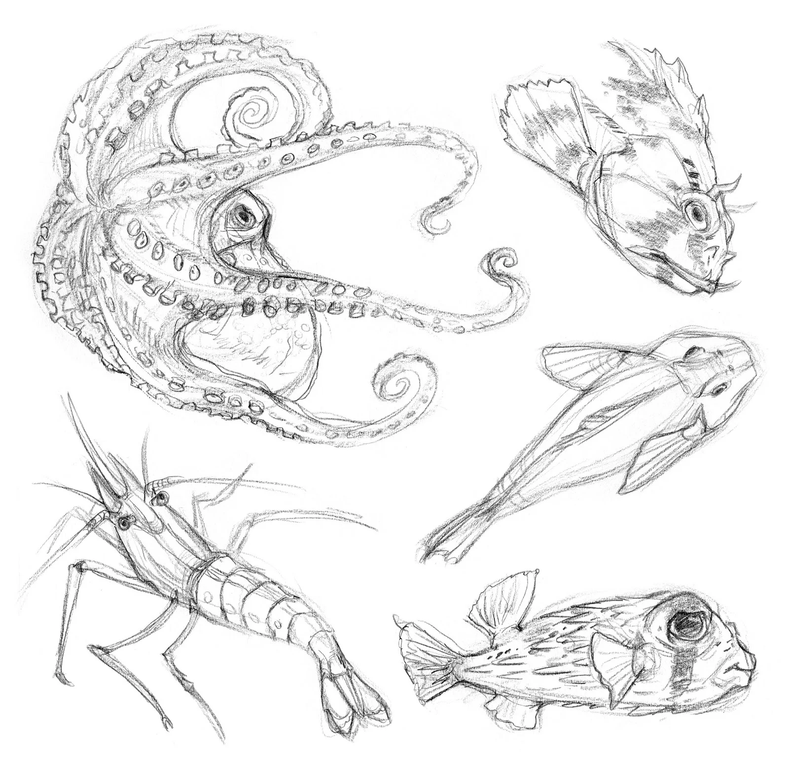 Aquatic Life Field Studies