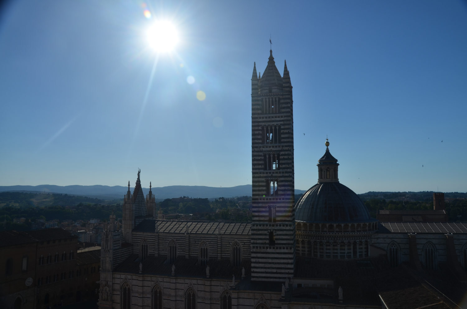 Panorama del Facciatone Siena