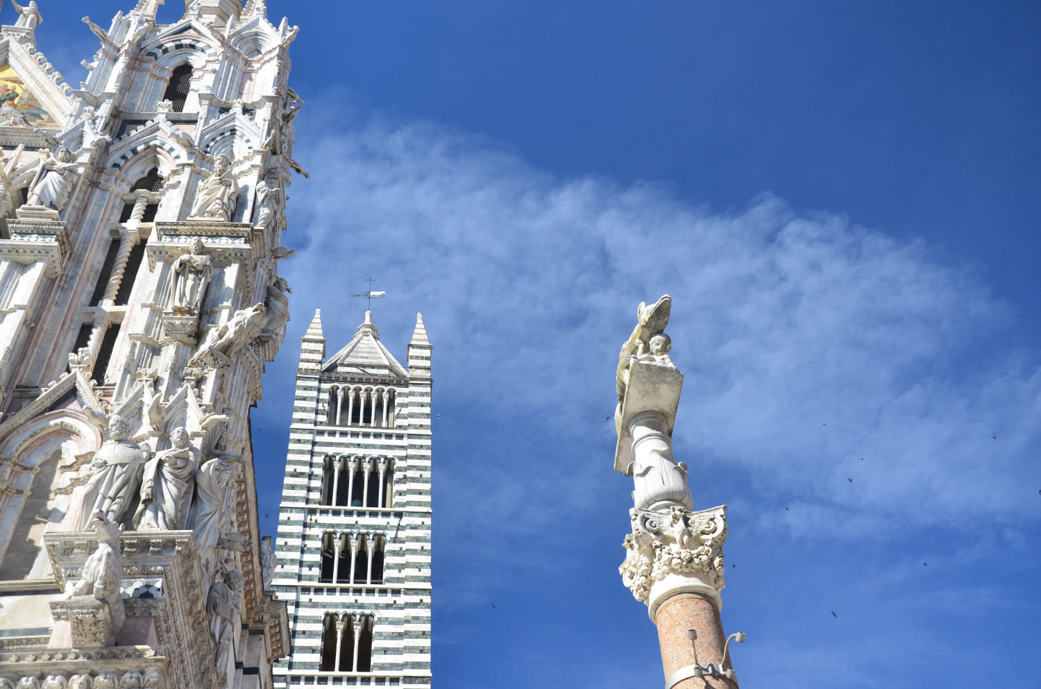 Remus Siena Column Siema Duomo