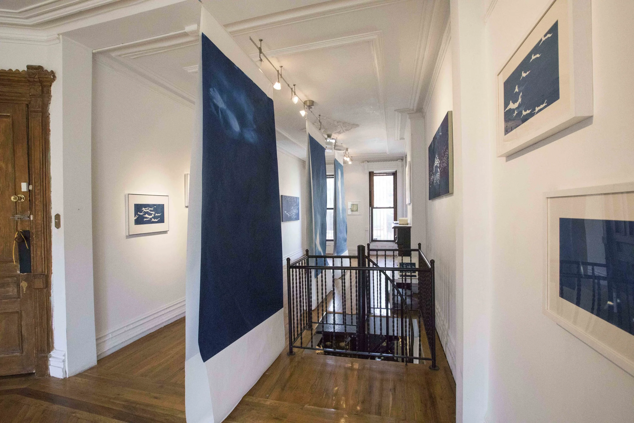   Han Qin: Ethereal Evolution  installation view, photograph by Nadia Peichao Lin ©Han Qin, courtesy Fou Gallery 