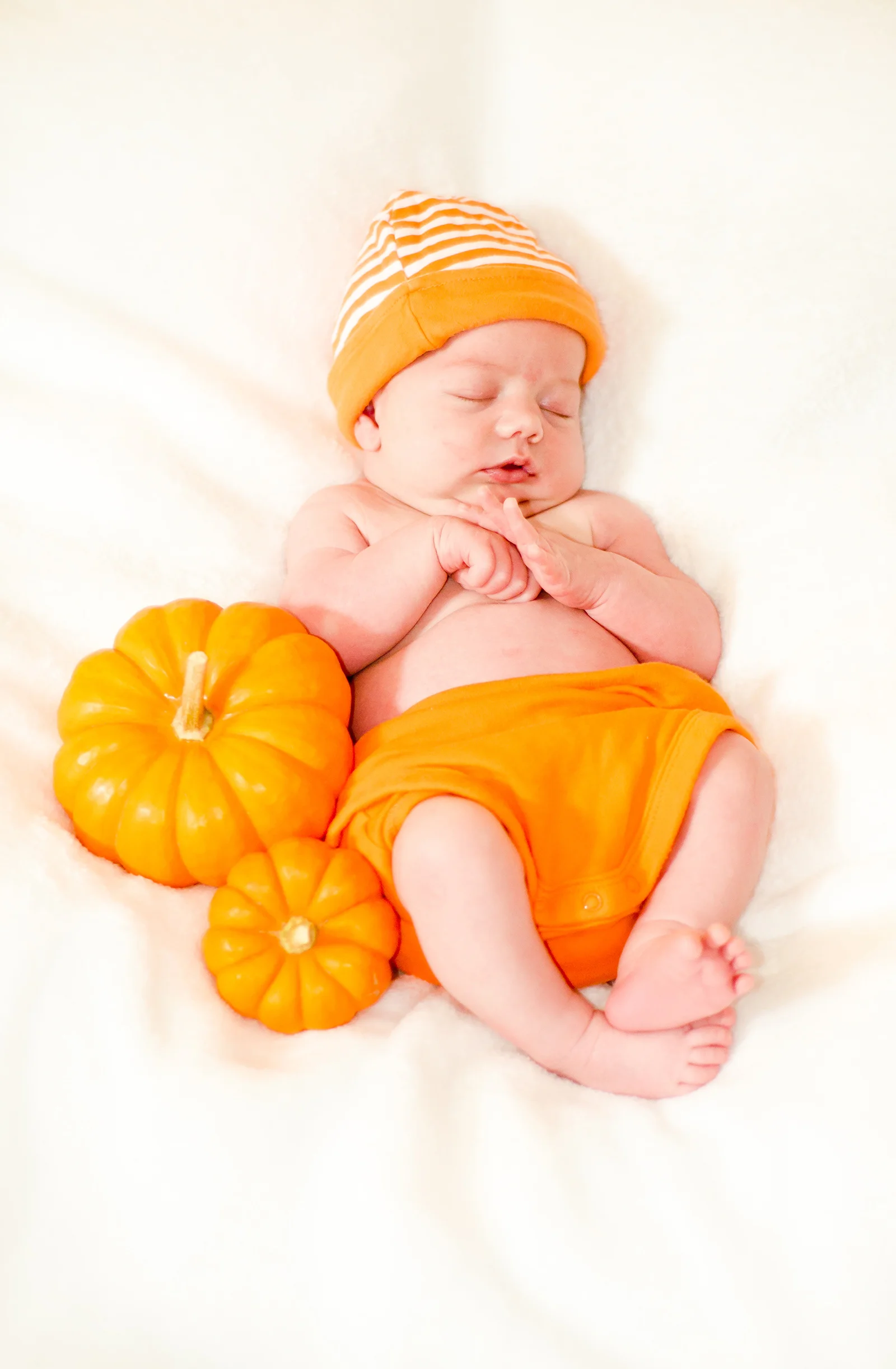 344-1986733-Norah-9059.jpg