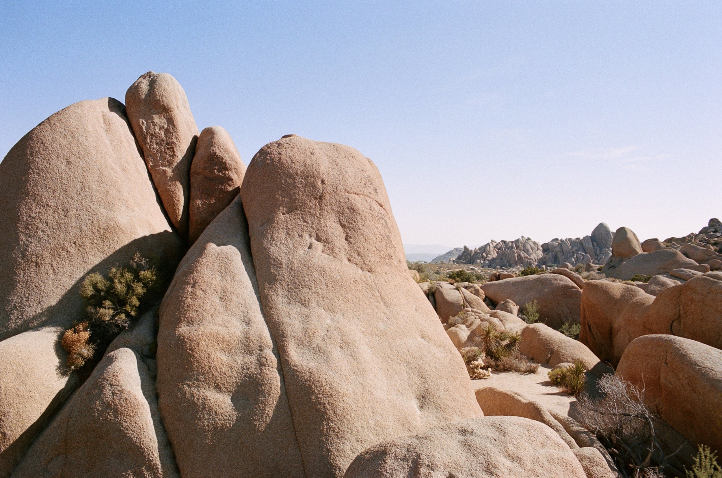  joshua tree national park, california 