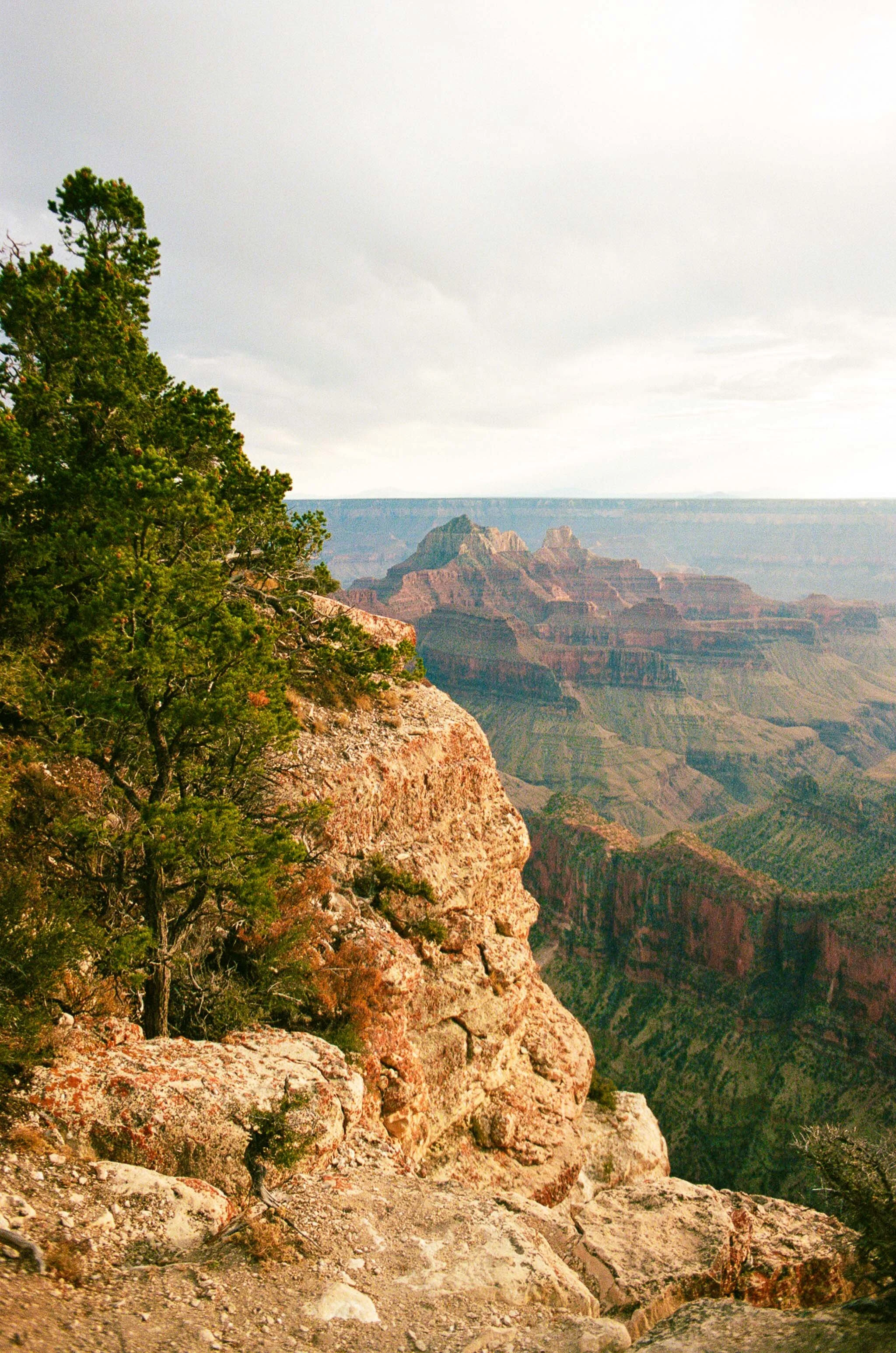  grand canyon national park, arizona 