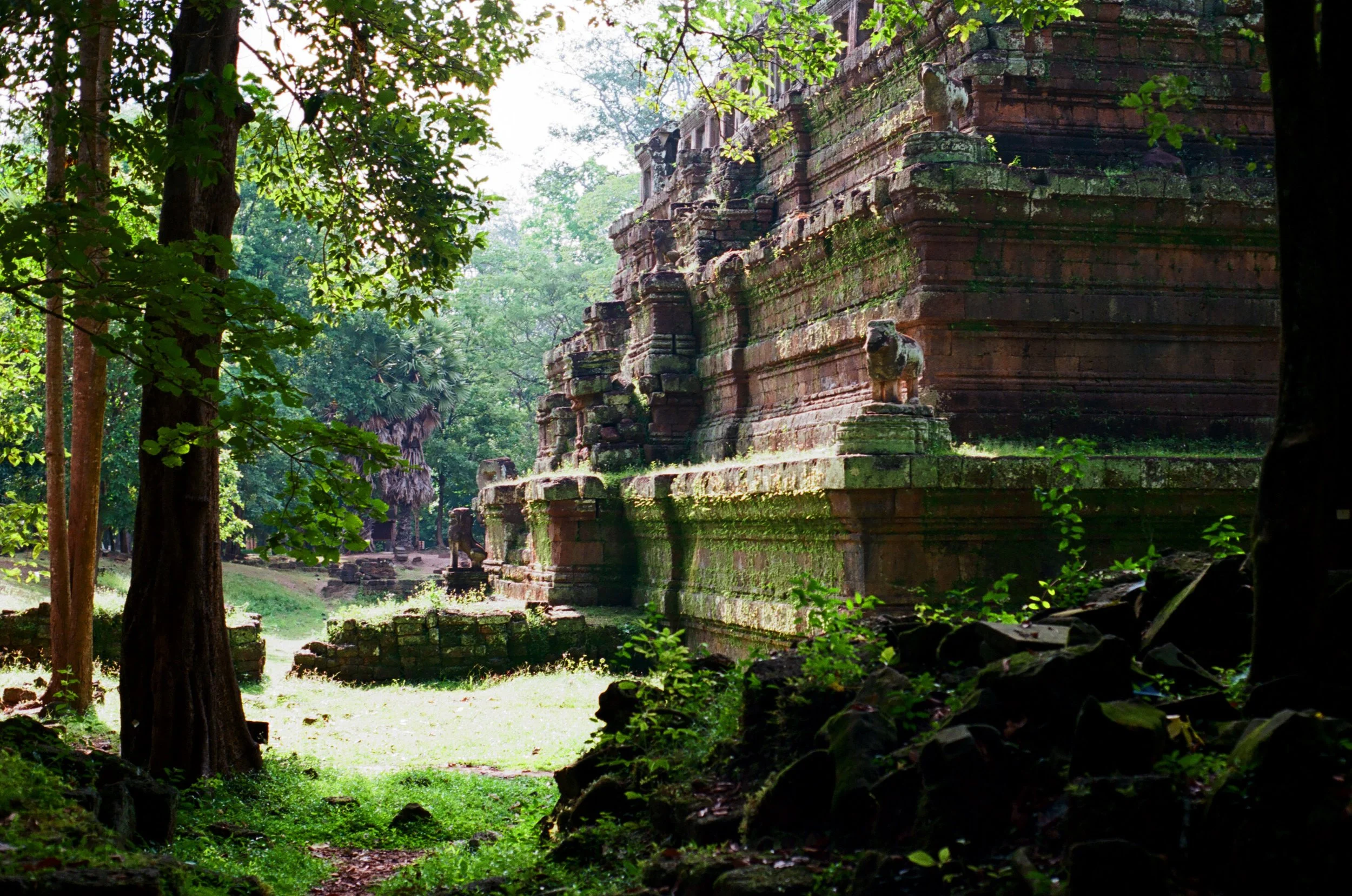 Charlie Michael Photography | Award Winning City Photography | LinkedIn | BCG | 35mm Kodak Portra 400 Nikon | Looking Through the Jungle to see the Pyramids and Forest in the Sunlight in Angkor Wat Cambodia.jpg