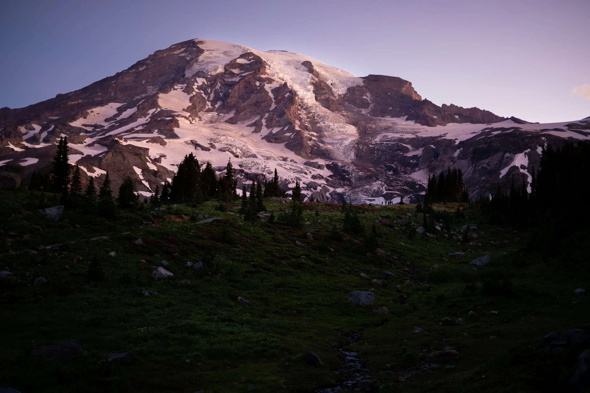 DSC_3479.jpg