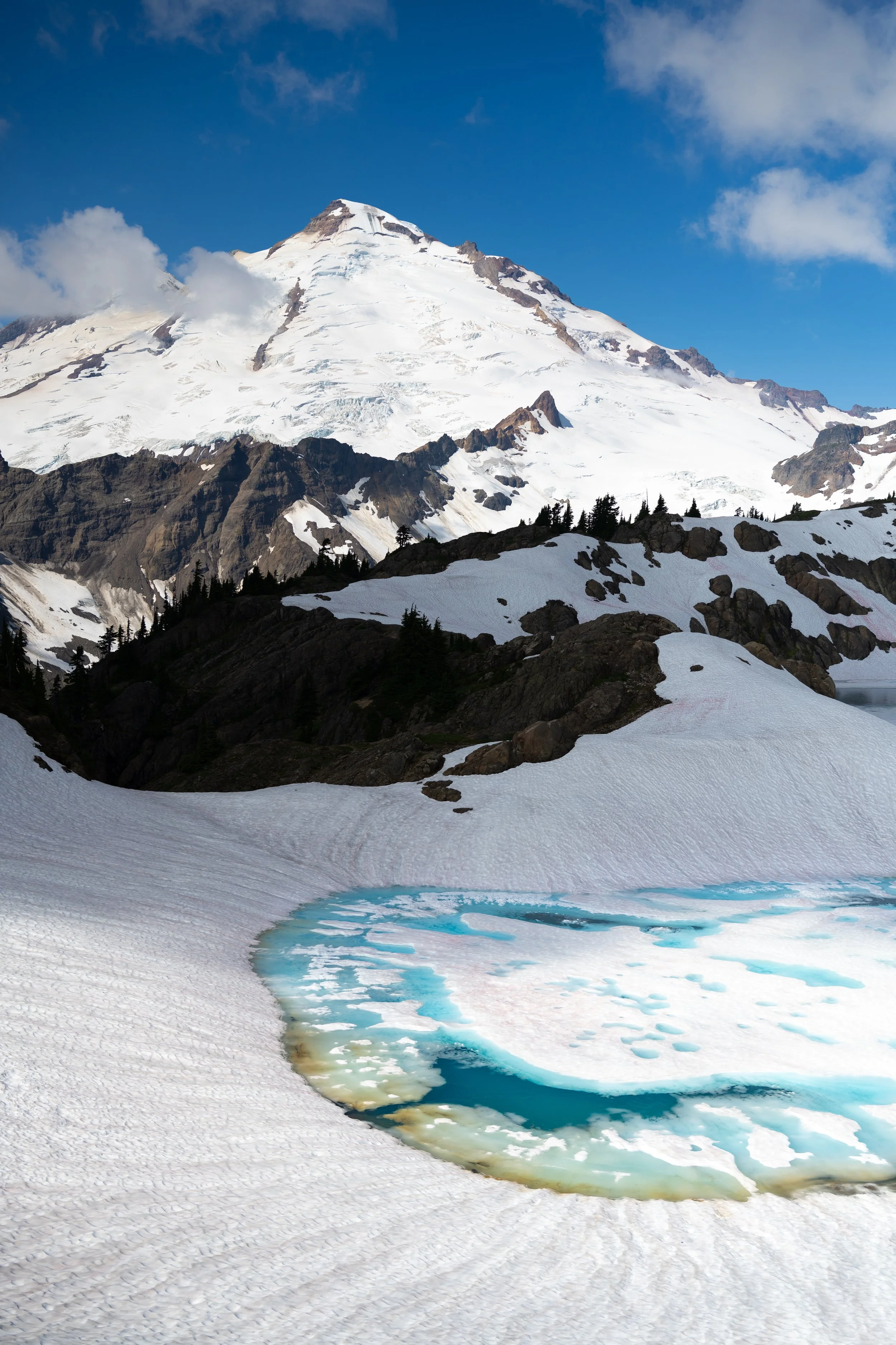 DSC_4321.jpg