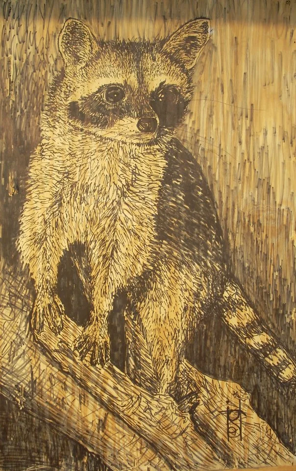 Raccoon
