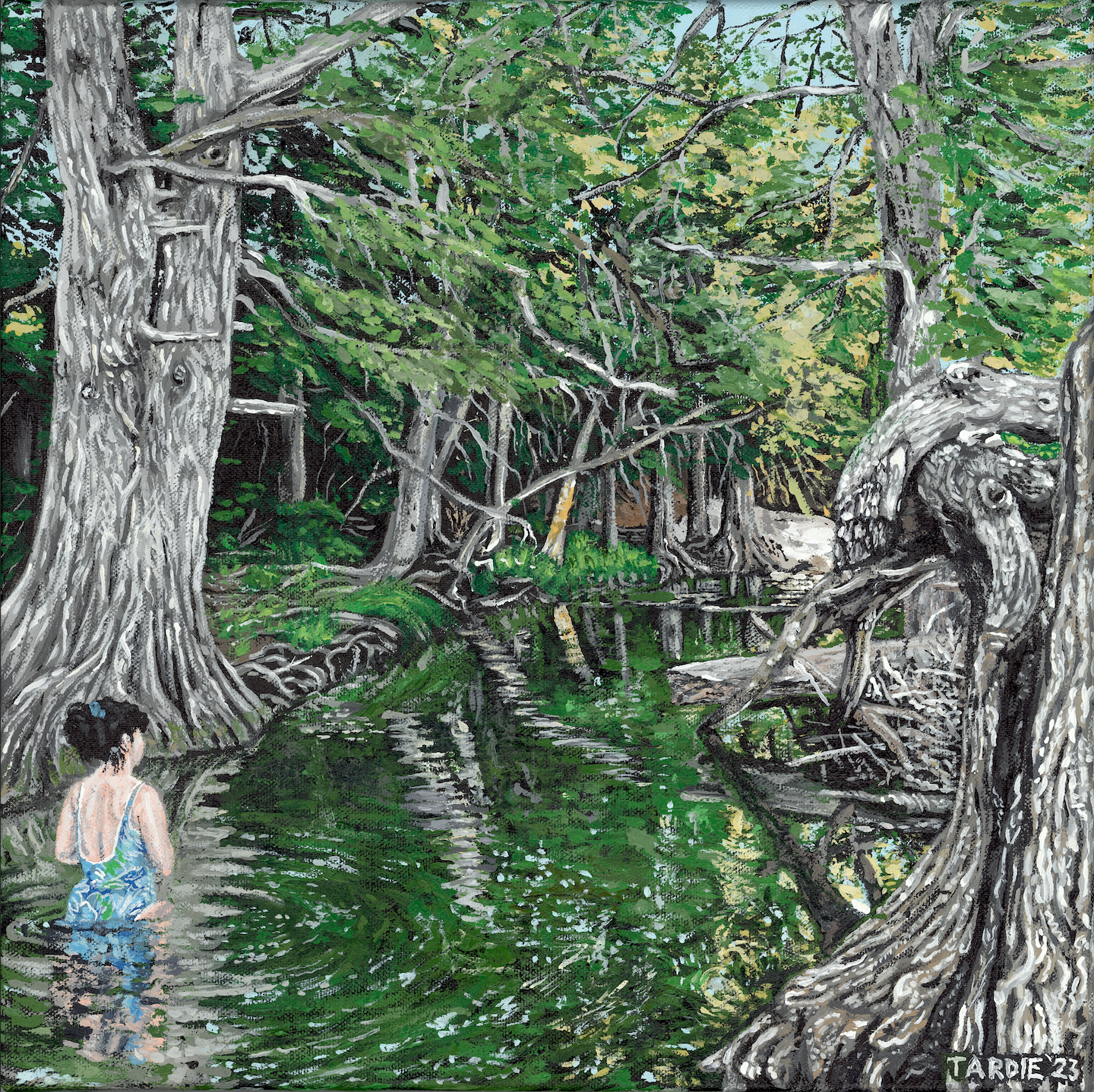 Texas Water Nymph and Bald Cypress