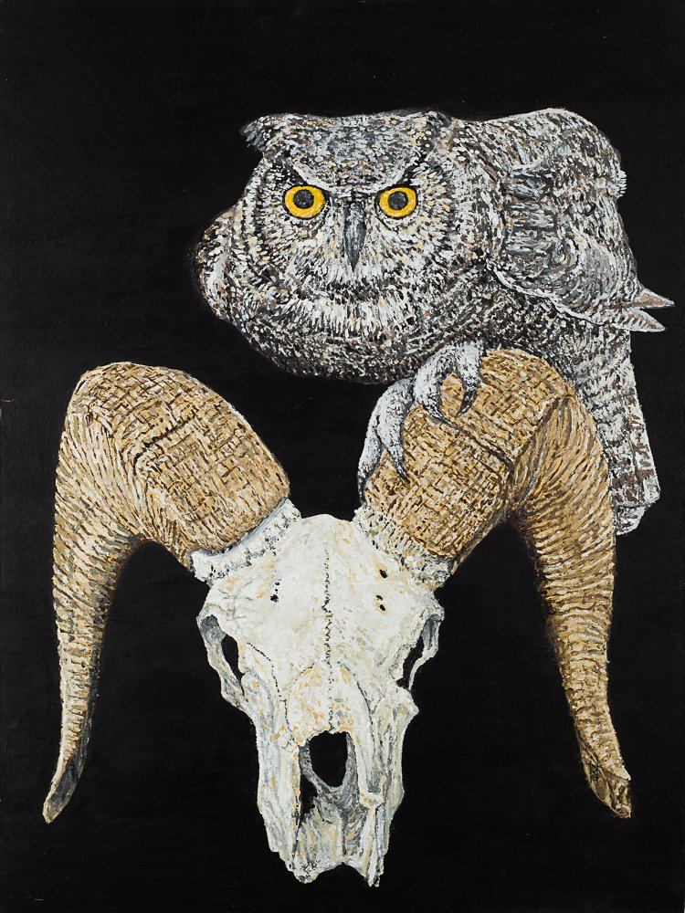 Great Horned Owl With Bighorn Sheep Skull