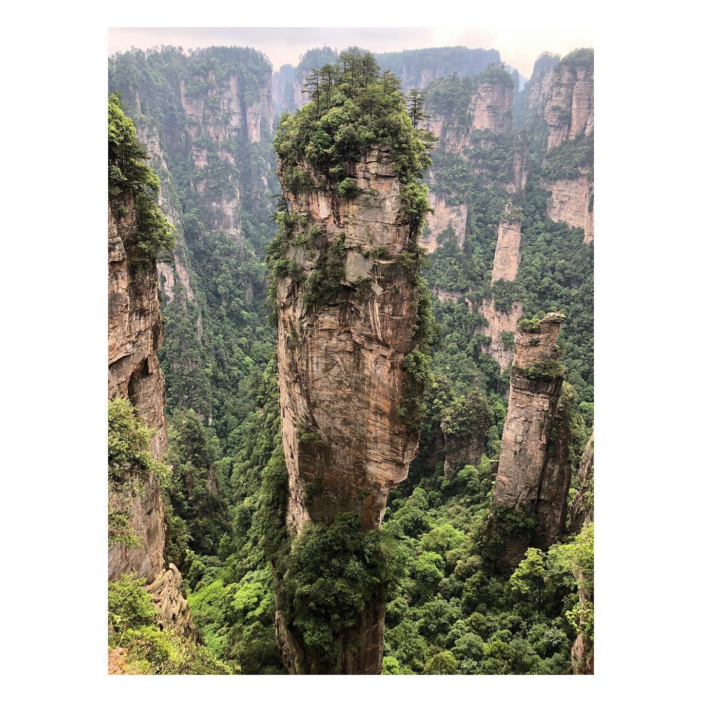 HAPPY 🌏 DAY! This photo needed no filter. I took when visiting China back in 2018. These insane pillar rock formations are comprised of quartz and sand stone!!! Yep, you heard that right, CRYSTALS! Over 61 million tourist come and experience this in