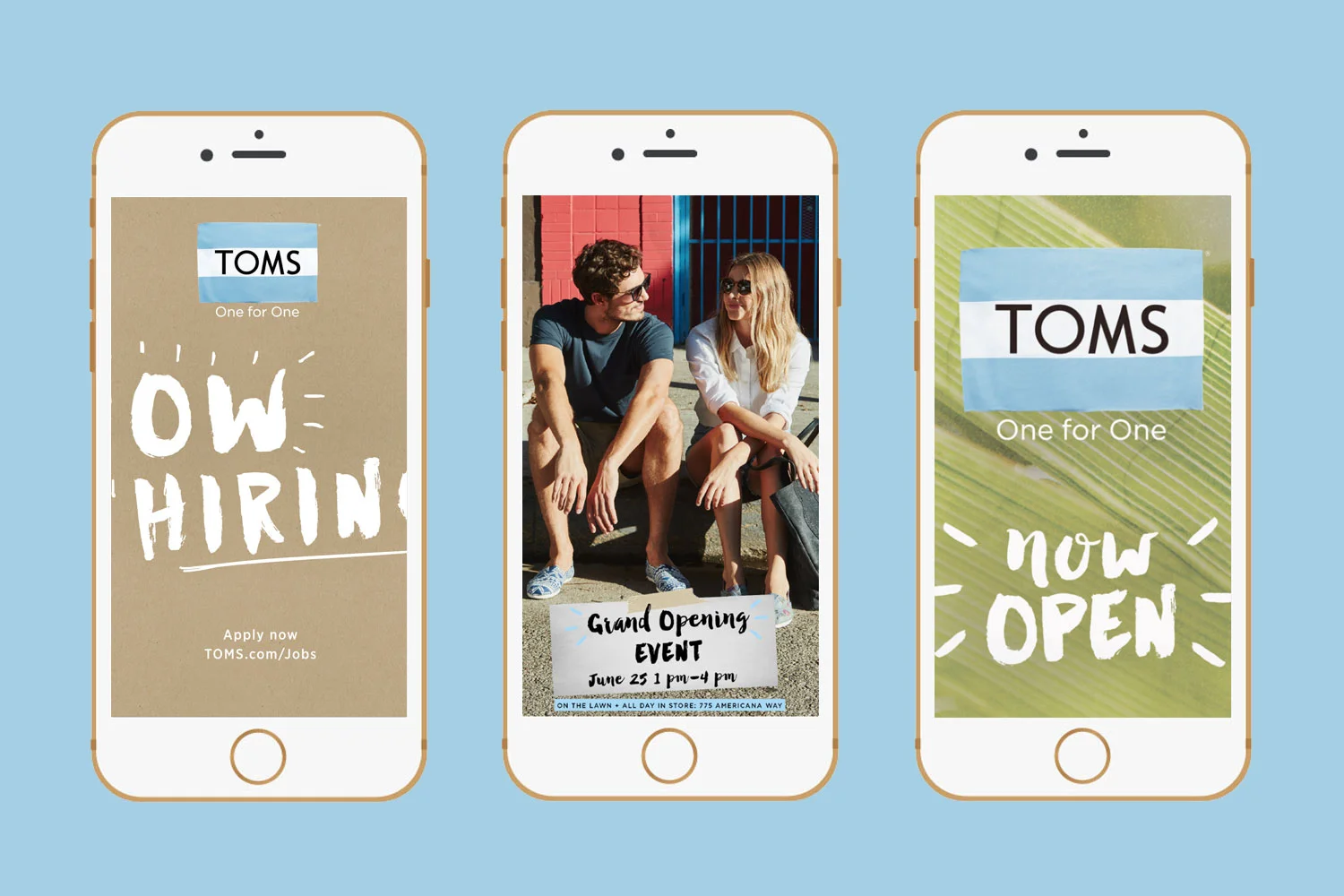TOMS_header.jpg