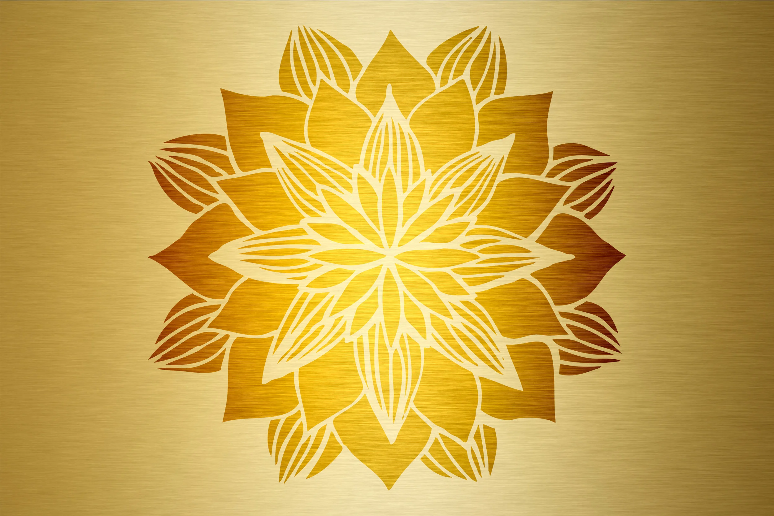 200hr Kirana Yoga Teacher Training Part 2