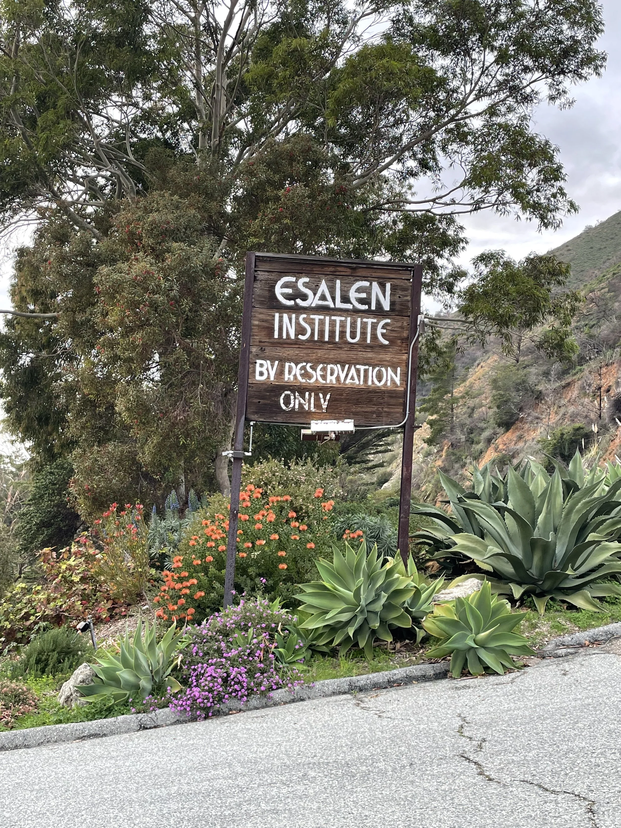 Chakra Rituals ~ Awaken to Life Retreat