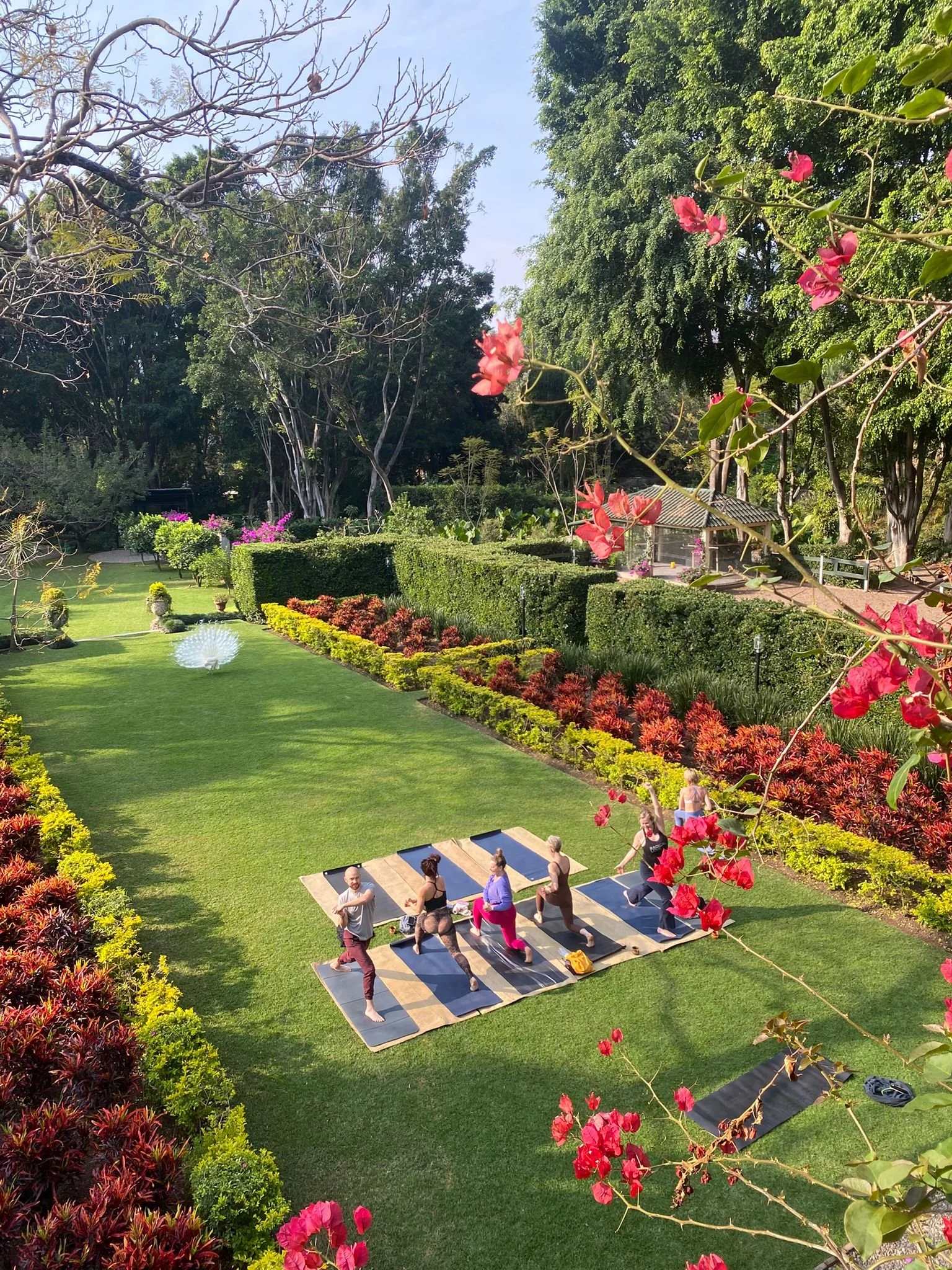 Wish Camp Mexico -- A Retreat For Women