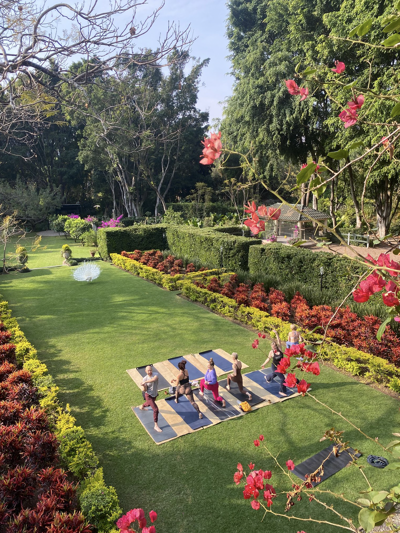 Chakra Rituals Yoga Teacher Training - Deposit