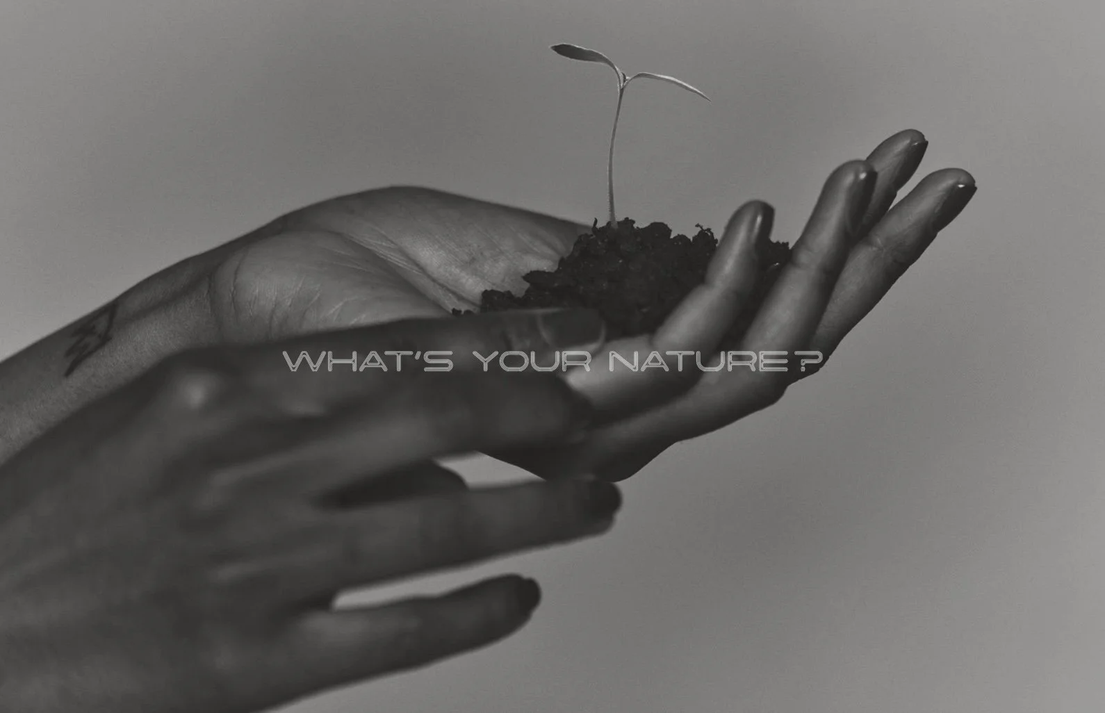 Screen Shot 2022-01-27 at 2.47.31 PM.jpeg