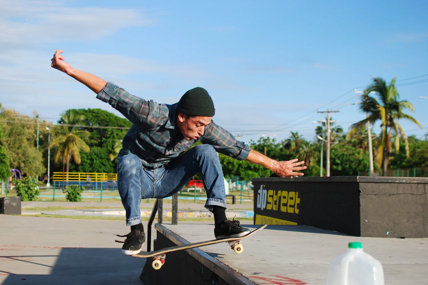 DSC_0416web.jpg
