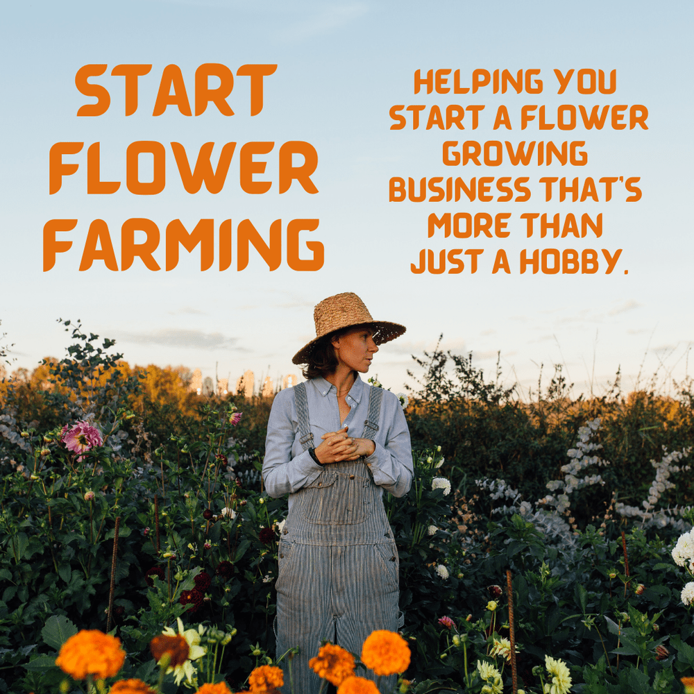 How To Start A Flower Farm Best Flower Site