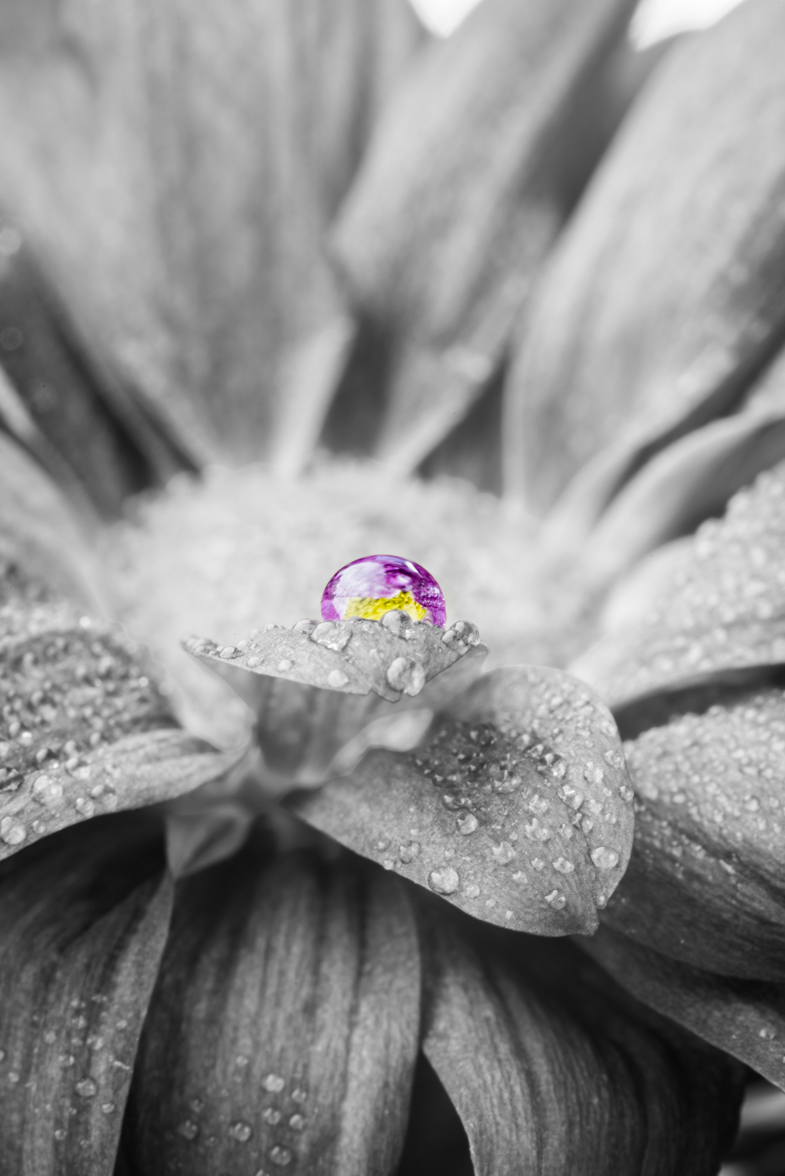 untitled-51.jpg