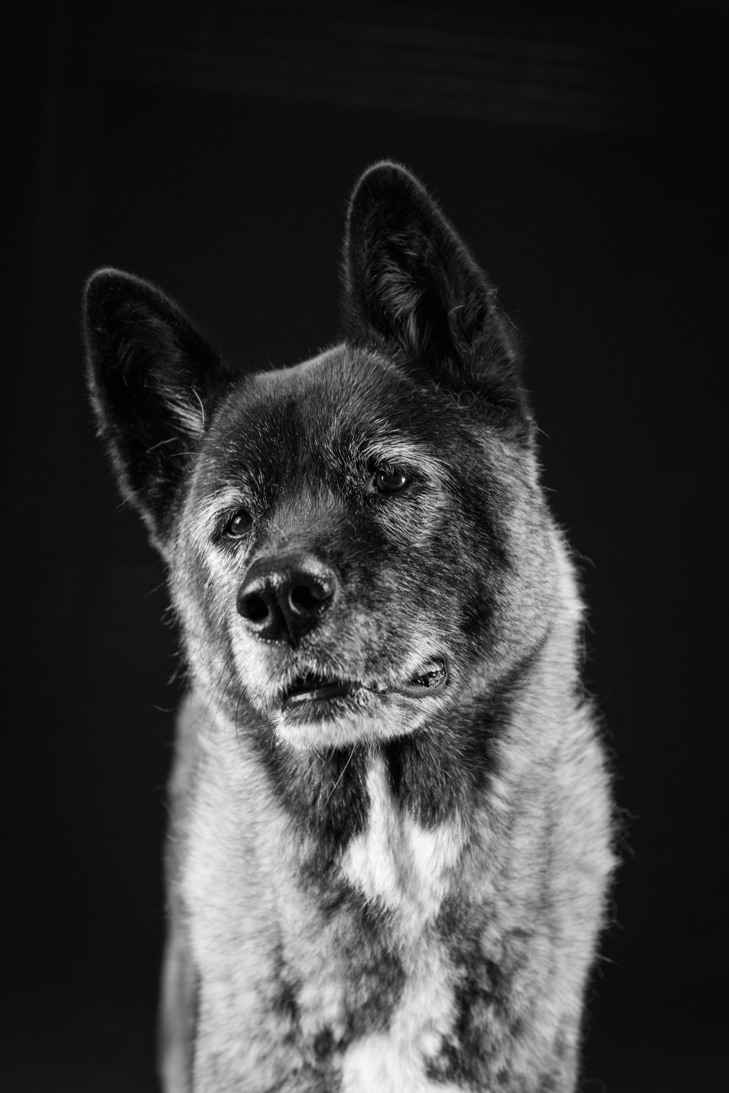 Cheyenne-8.jpg