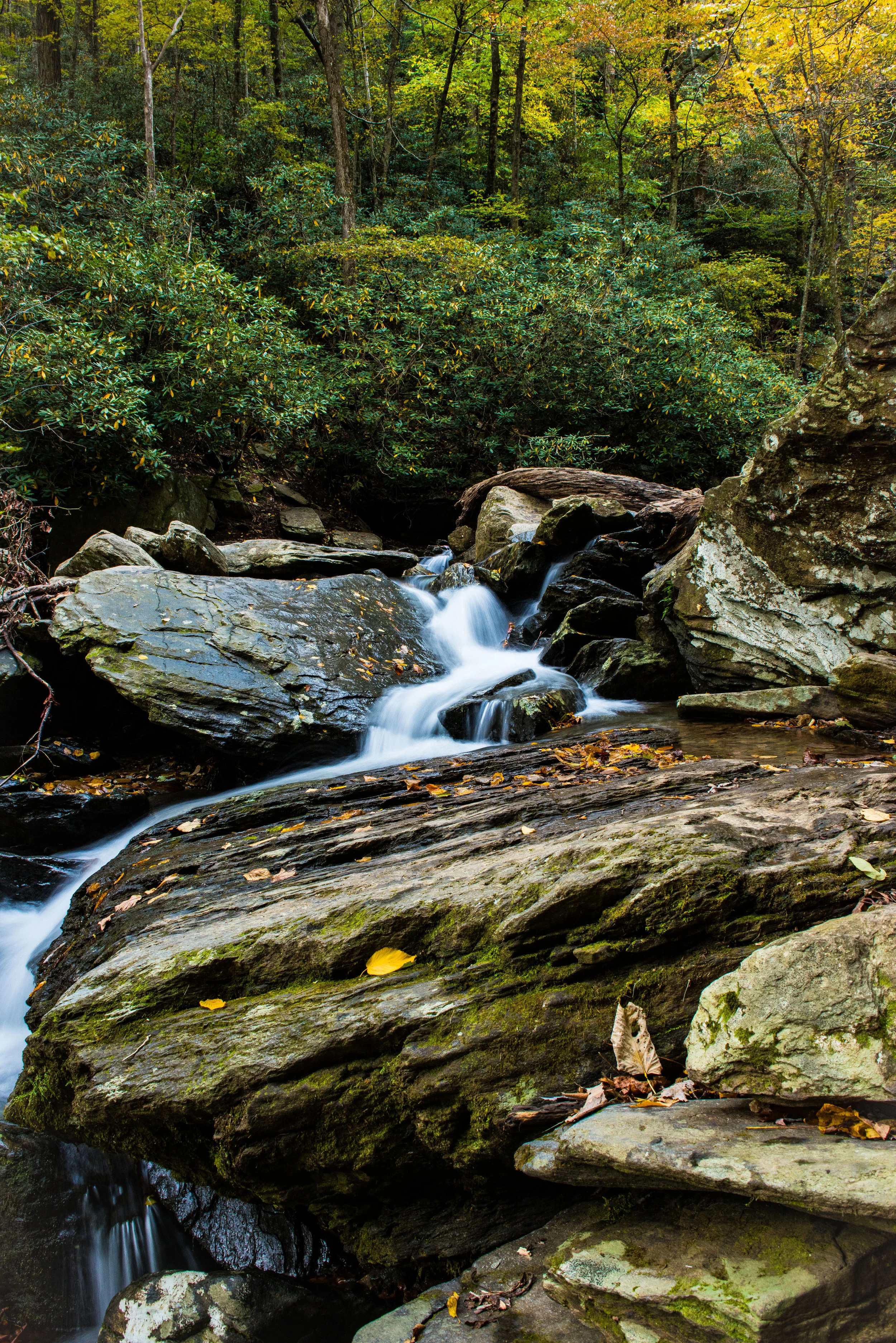 18_10_North Carolina Mountain 2018_584.jpg