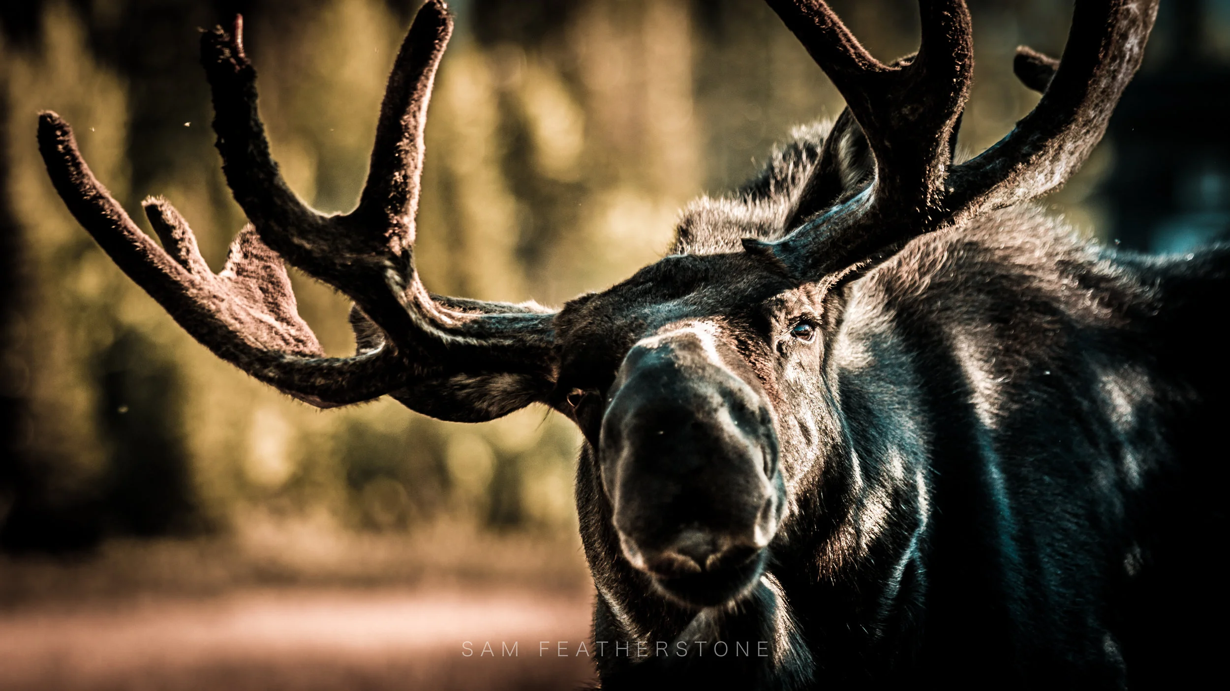 _WB_3921-2 copy 2.JPG