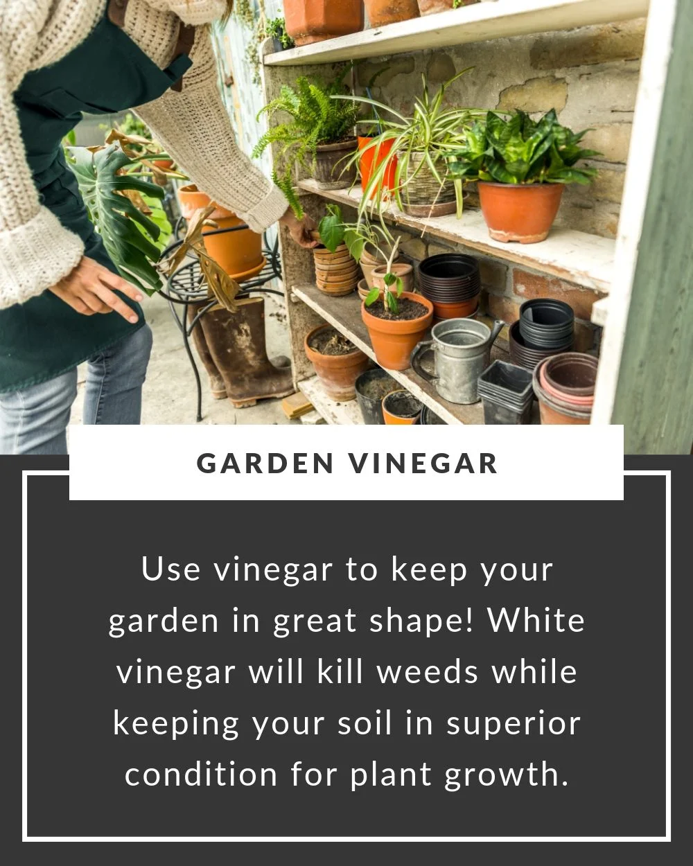Weekend Tip (7).jpg