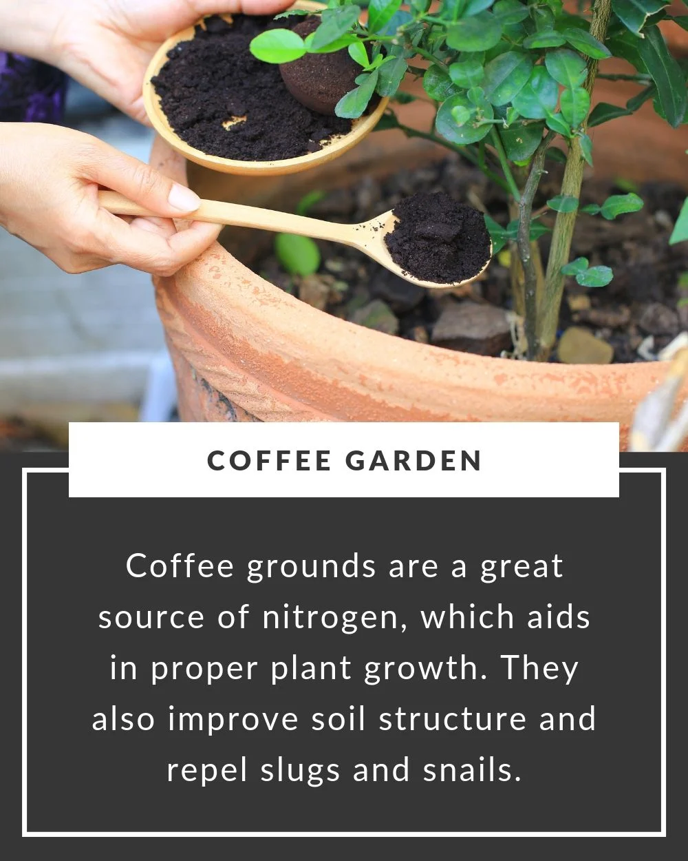 Weekend Tip (29).jpg