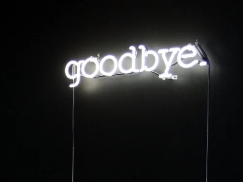 the goodbye I want to say