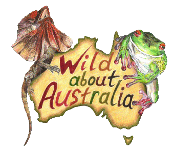 feeling right side up down under