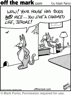 Working at contentment.