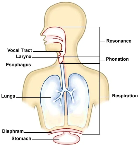 voiceimage2.jpg
